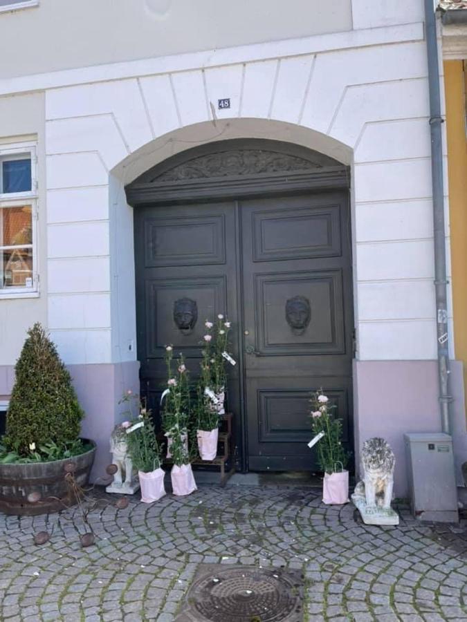 Apothekergaarden Stege Stuen Mod Gardhaven住宿加早餐旅馆 外观 照片
